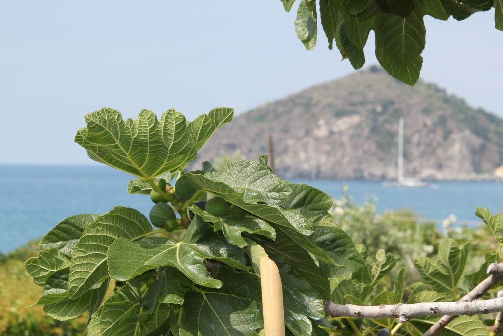 Hotel Maronti Barano dʼIschia Exterior foto